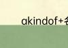 akindof+名词单数还是复数
