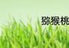 猕猴桃的酿酒方法