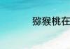 猕猴桃在什么时段吃好
