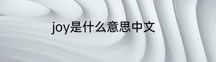 joy是什么意思中文