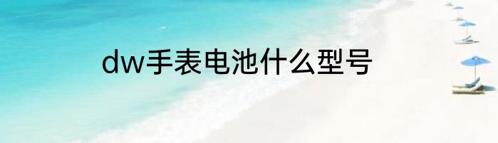 dw手表电池什么型号