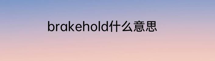 brakehold什么意思