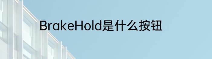 BrakeHold是什么按钮