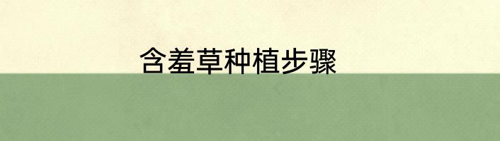 含羞草种植步骤