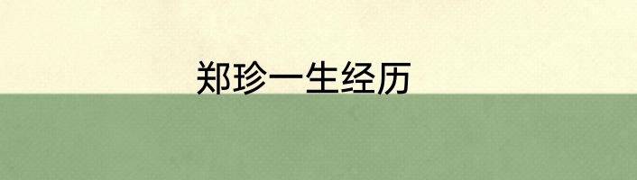 郑珍一生经历