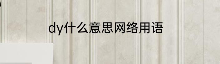 dy什么意思网络用语