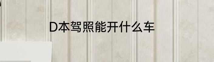 D本驾照能开什么车
