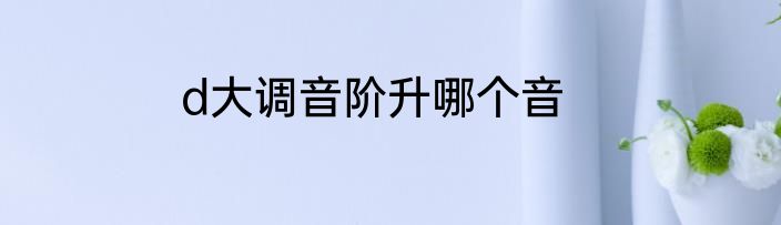d大调音阶升哪个音