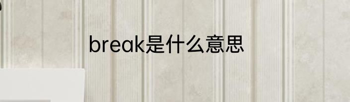 break是什么意思