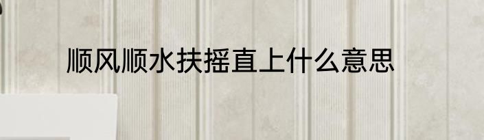 顺风顺水扶摇直上什么意思