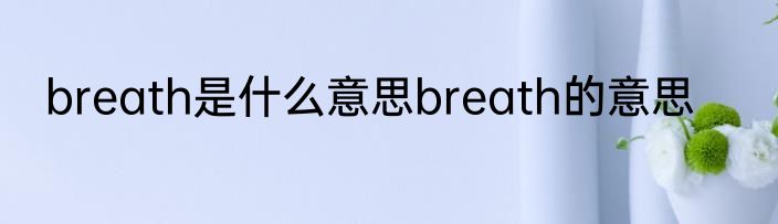 breath是什么意思breath的意思