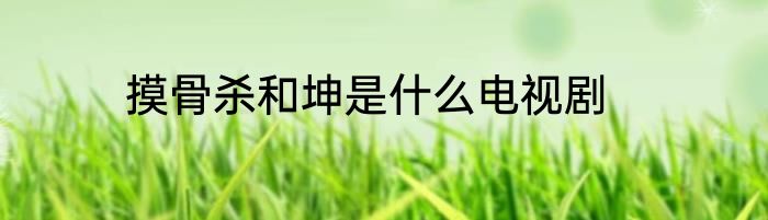 摸骨杀和坤是什么电视剧