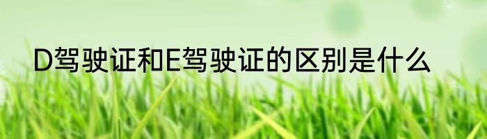 D驾驶证和E驾驶证的区别是什么