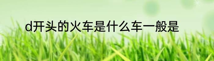 d开头的火车是什么车一般是