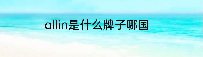 allin是什么牌子哪国