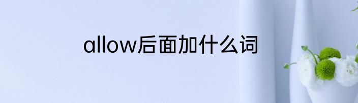 allow后面加什么词