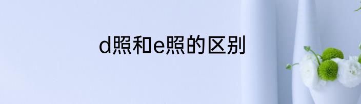 d照和e照的区别
