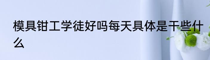 模具钳工学徒好吗每天具体是干些什么