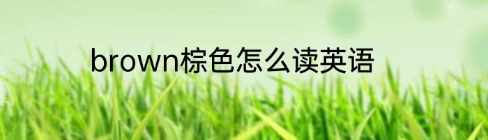 brown棕色怎么读英语