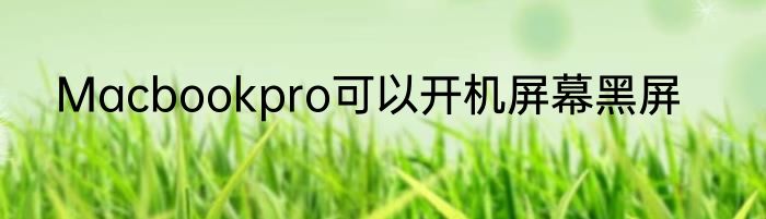 Macbookpro可以开机屏幕黑屏