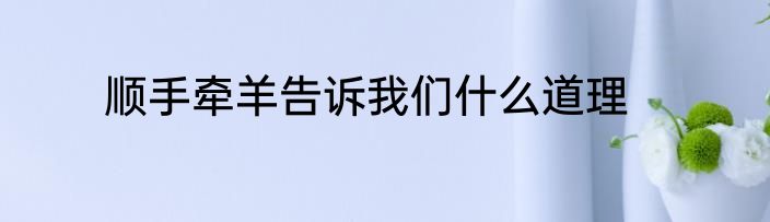 顺手牵羊告诉我们什么道理