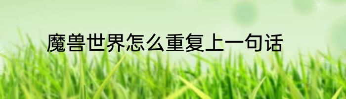 魔兽世界怎么重复上一句话
