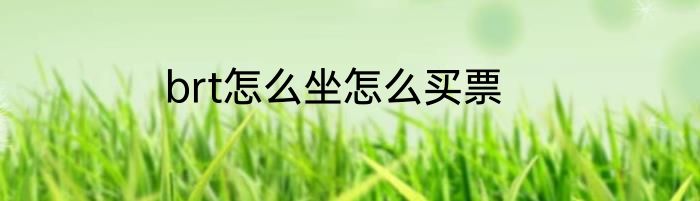 brt怎么坐怎么买票