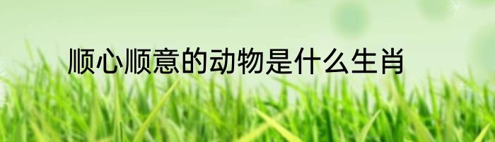 顺心顺意的动物是什么生肖