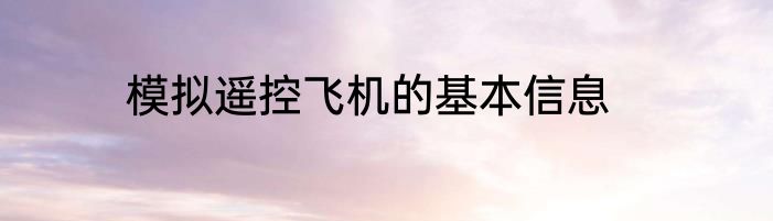 模拟遥控飞机的基本信息