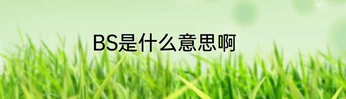 BS是什么意思啊