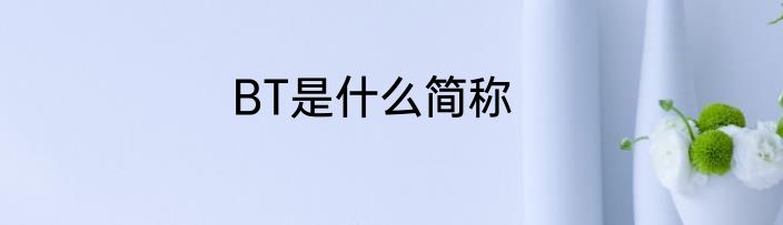 BT是什么简称