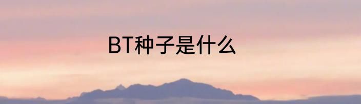 BT种子是什么