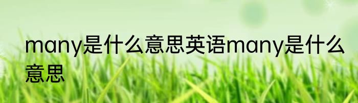 many是什么意思英语many是什么意思
