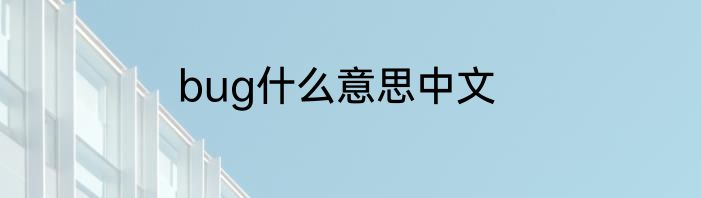 bug什么意思中文