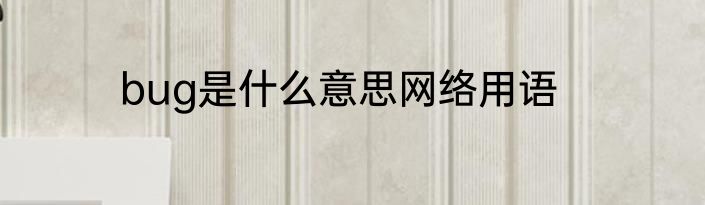 bug是什么意思网络用语