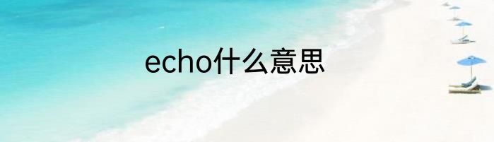 echo什么意思