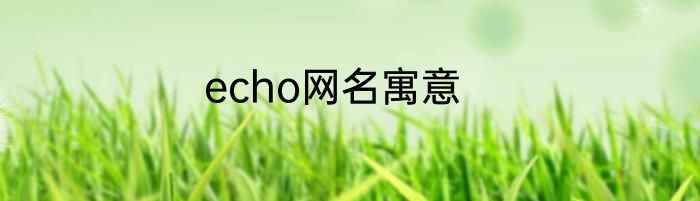 echo网名寓意