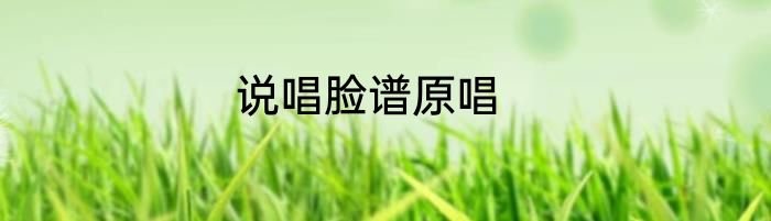 说唱脸谱原唱