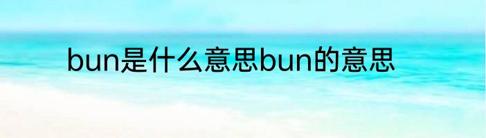 bun是什么意思bun的意思