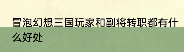 冒泡幻想三国玩家和副将转职都有什么好处