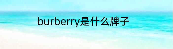 burberry是什么牌子