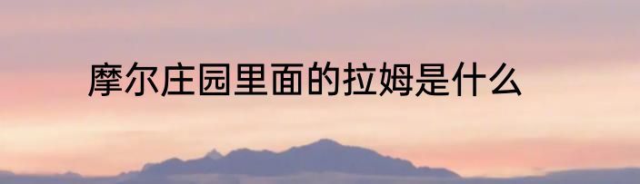 摩尔庄园里面的拉姆是什么