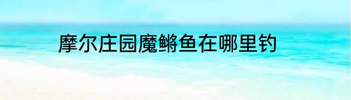 摩尔庄园魔鳉鱼在哪里钓