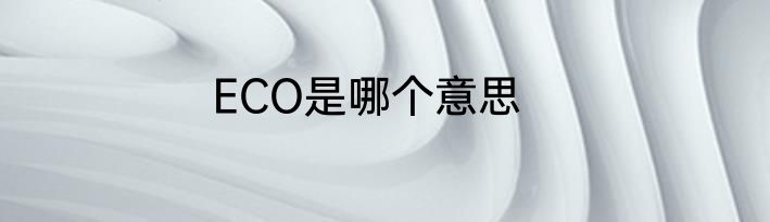 ECO是哪个意思
