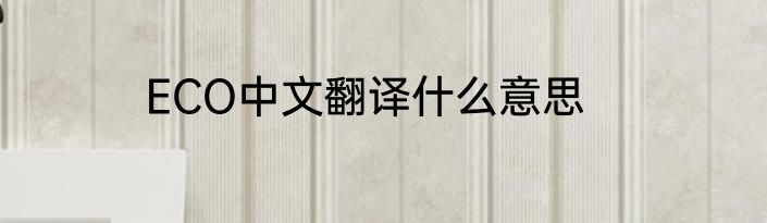 ECO中文翻译什么意思
