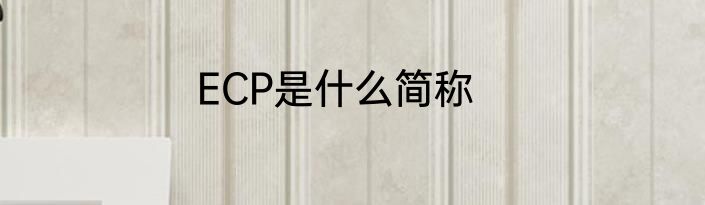 ECP是什么简称