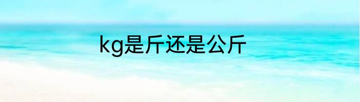 kg是斤还是公斤