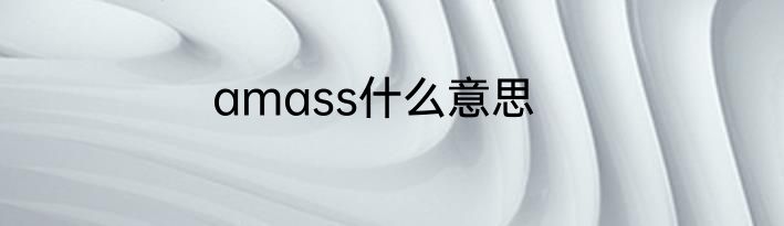 amass什么意思