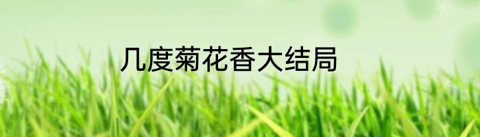 几度菊花香大结局
