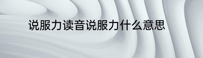 说服力读音说服力什么意思